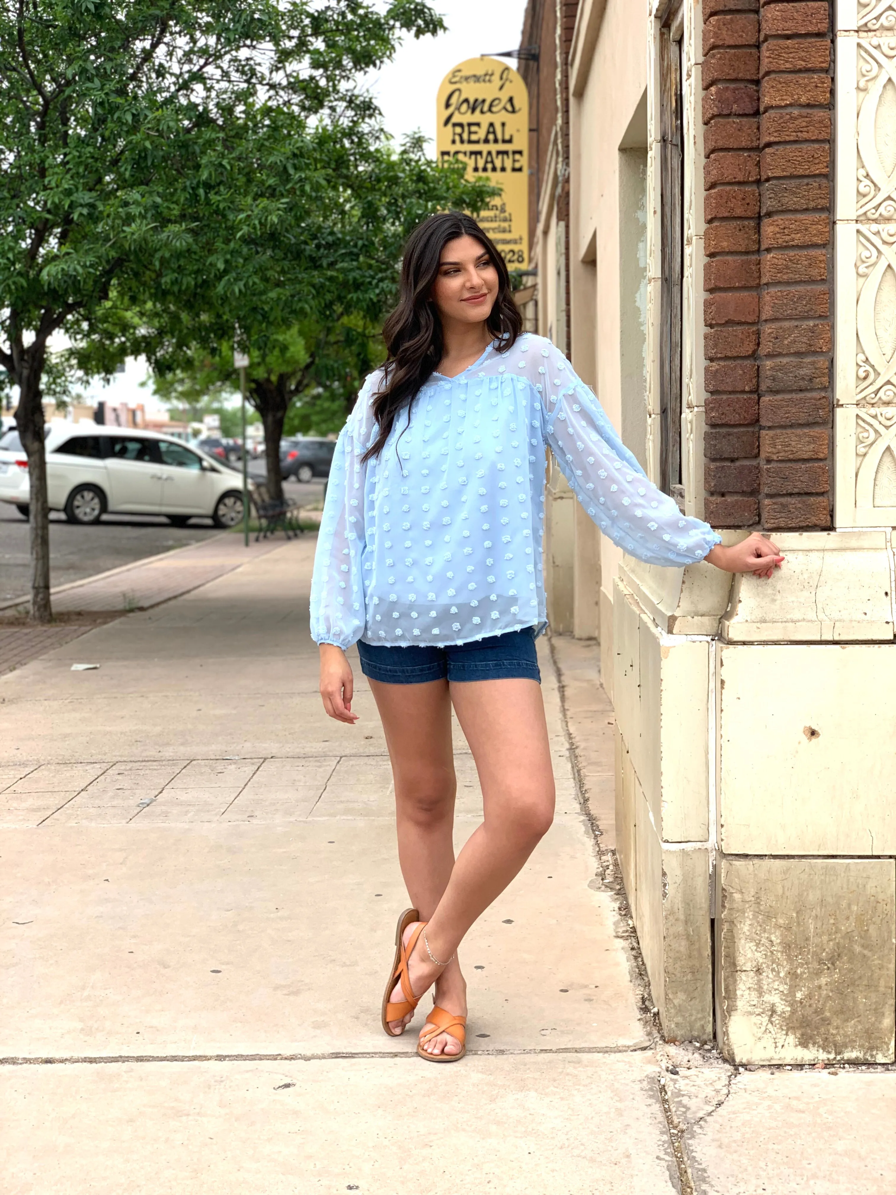 Baby Blue Swiss Dot Long Sleeve Top